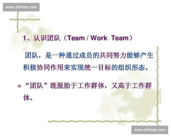 有效团队建设策略与实践：提升协作力与创新力的核心方法解析